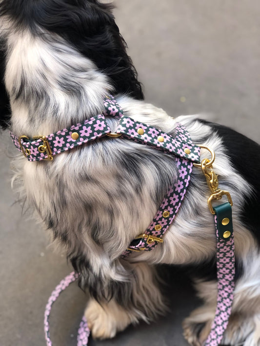 Green and pink daisy harness