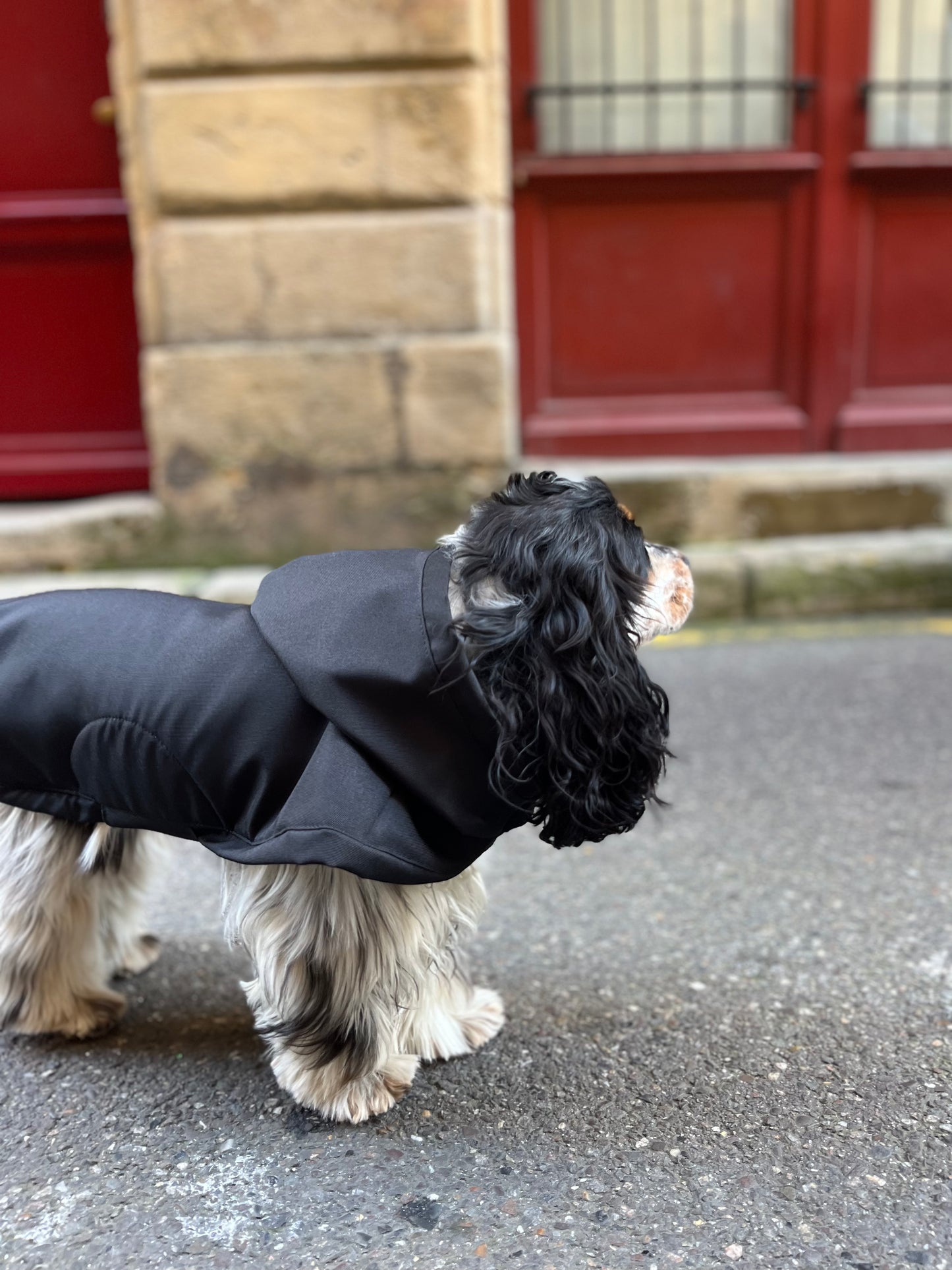 Waterproof lined coat