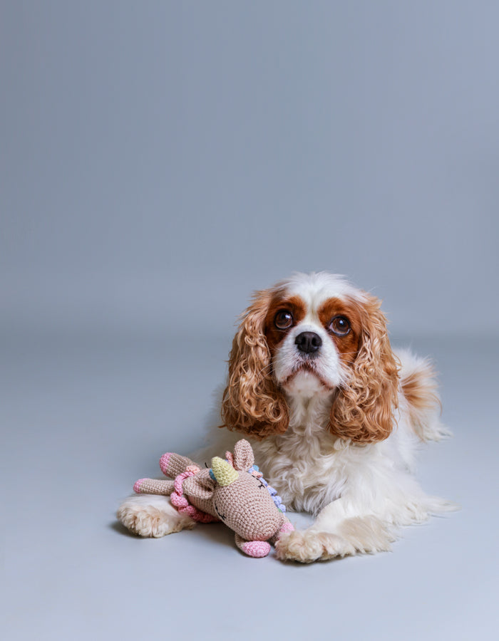 jouet-chiens-bordeaux-nugget-conceptstore