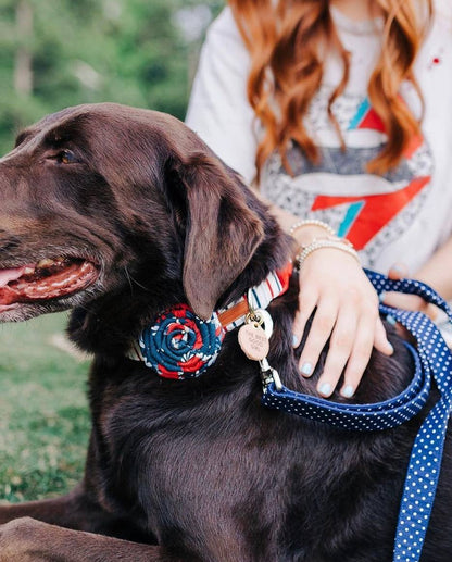 labrador-chocolat-medaille-girl