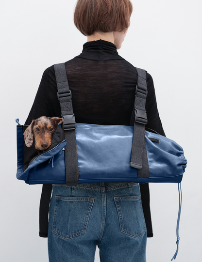 Dachshund carrier bag - Backpack model