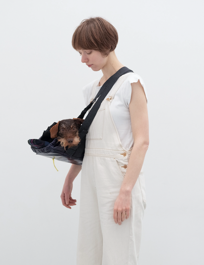 Dachshund carrier bag - City model
