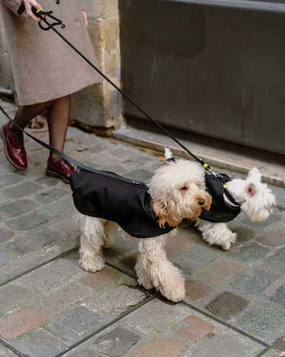 manteau-pour-chien-noir