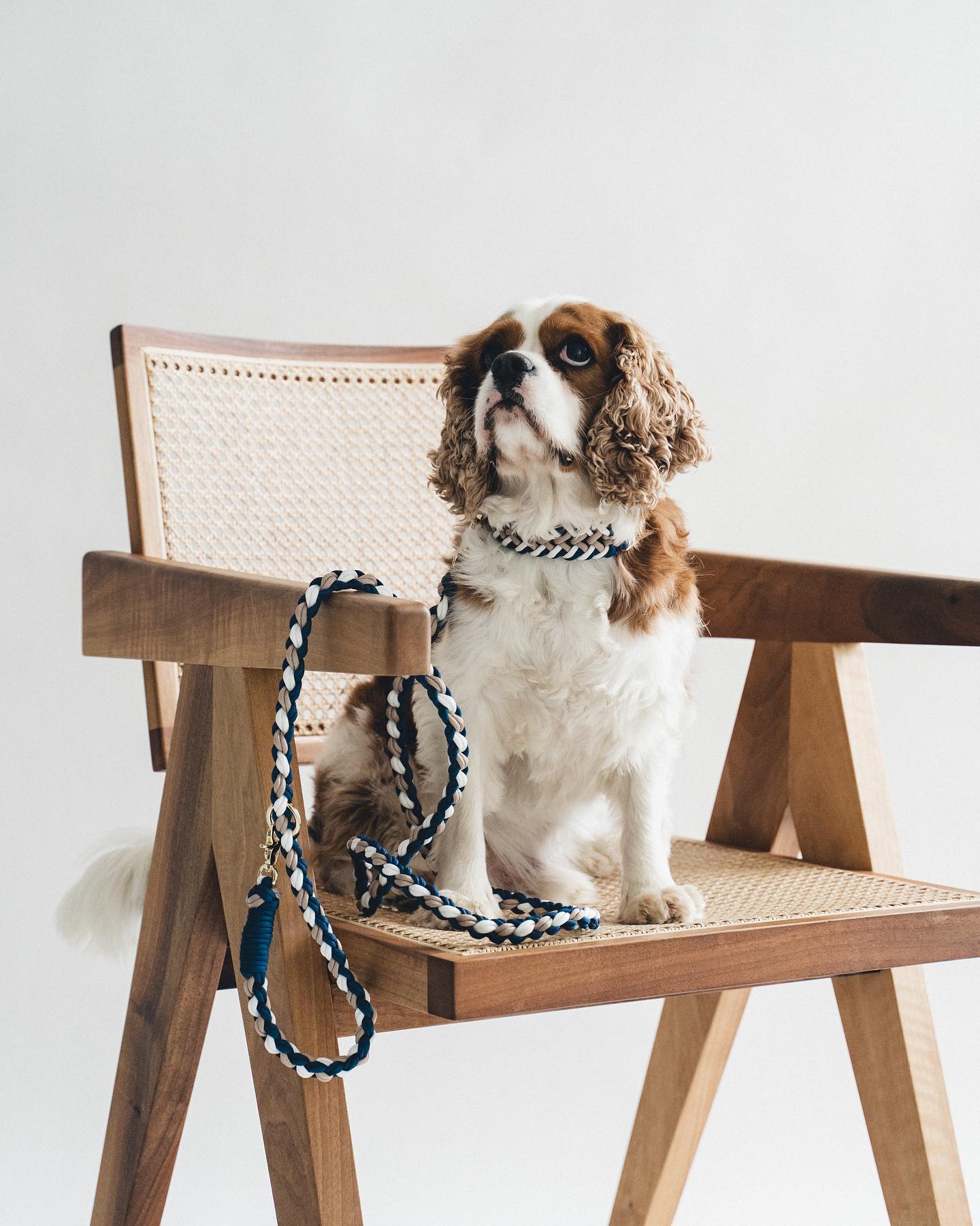 Winston braided necklace