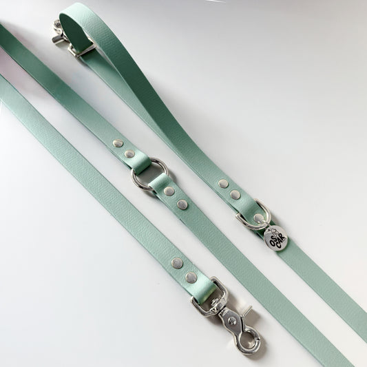 Laisse biothane multi positions Sauge