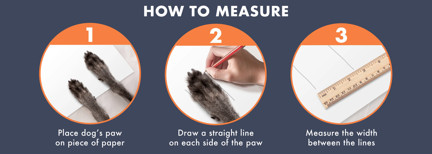 Chaussures pour chien