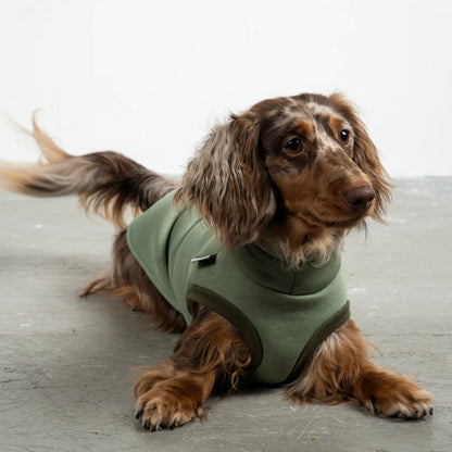 Pull vert doublé polaire pour teckel