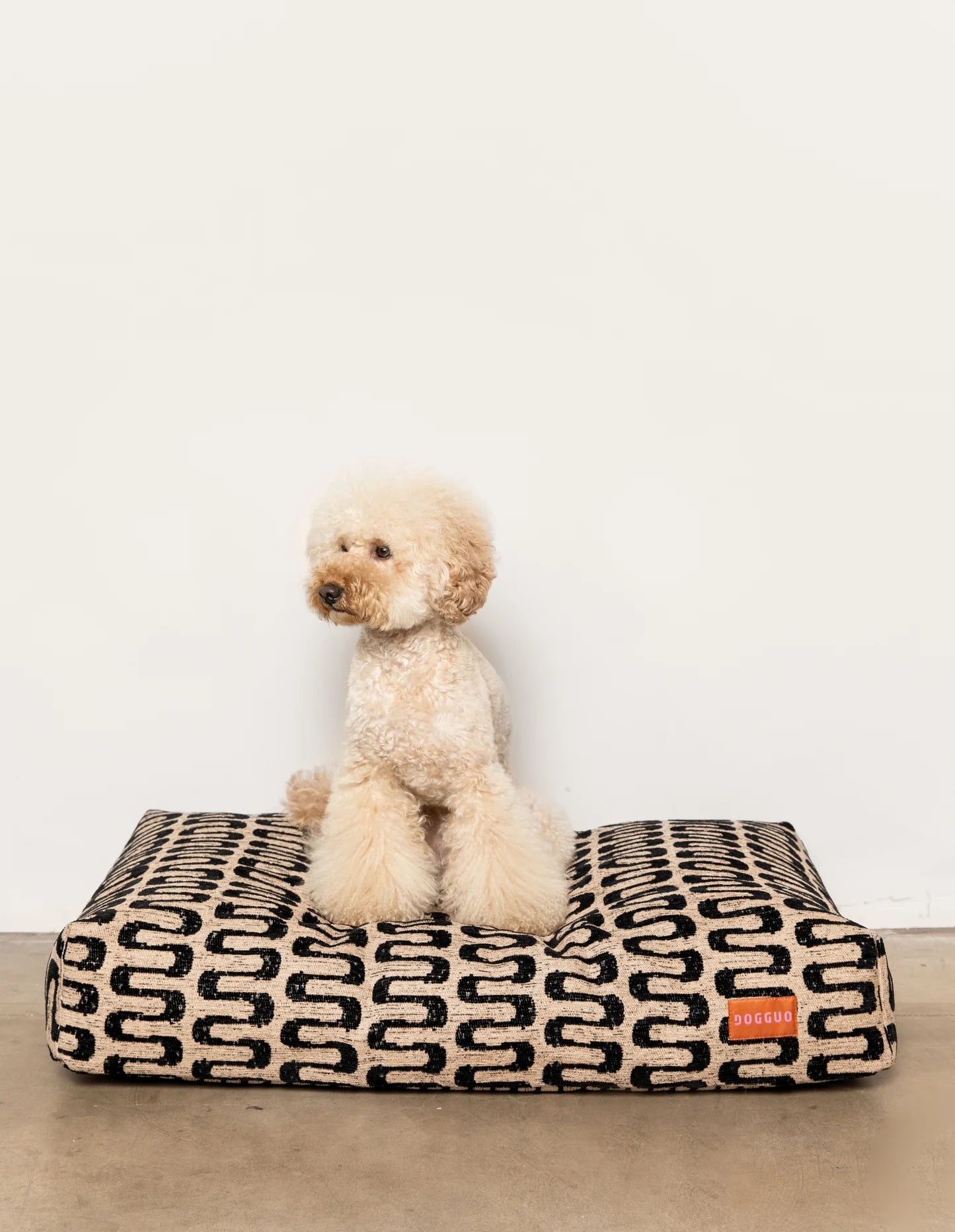 panier-retro-chien