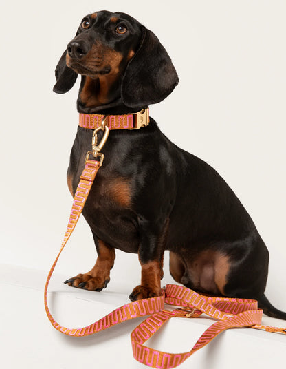 Orange and pink patterned leash