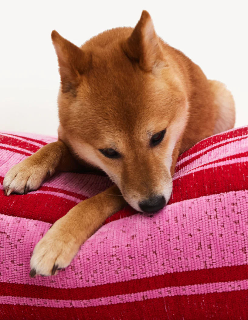 panier-rayé-pour-chien