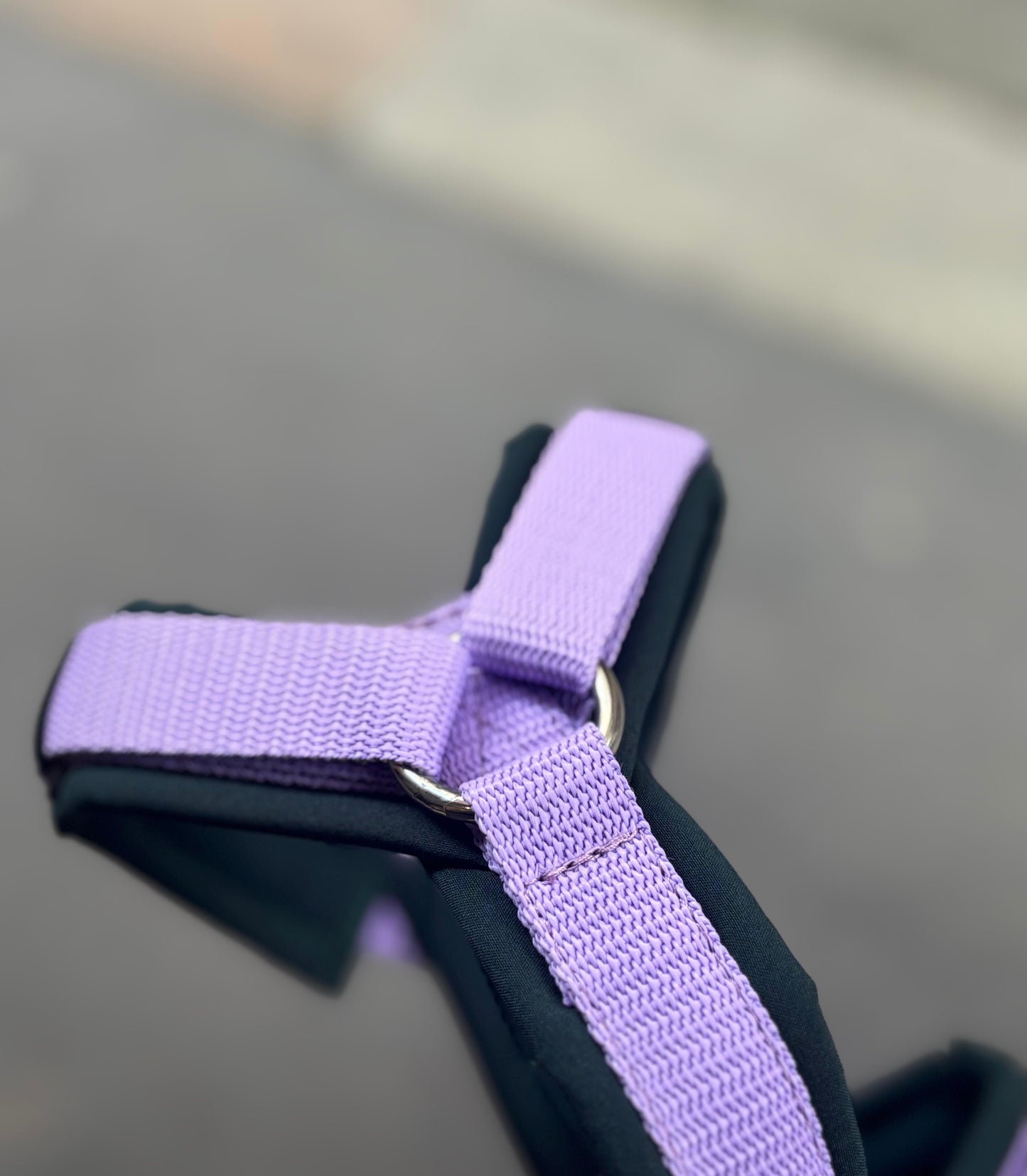 Harnais vert et lila