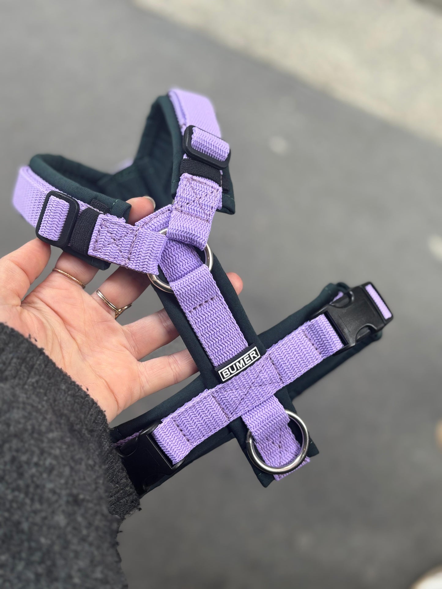 Harnais vert et lila