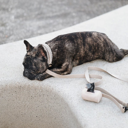 collier-biothane-chien-bordeaux-nugget