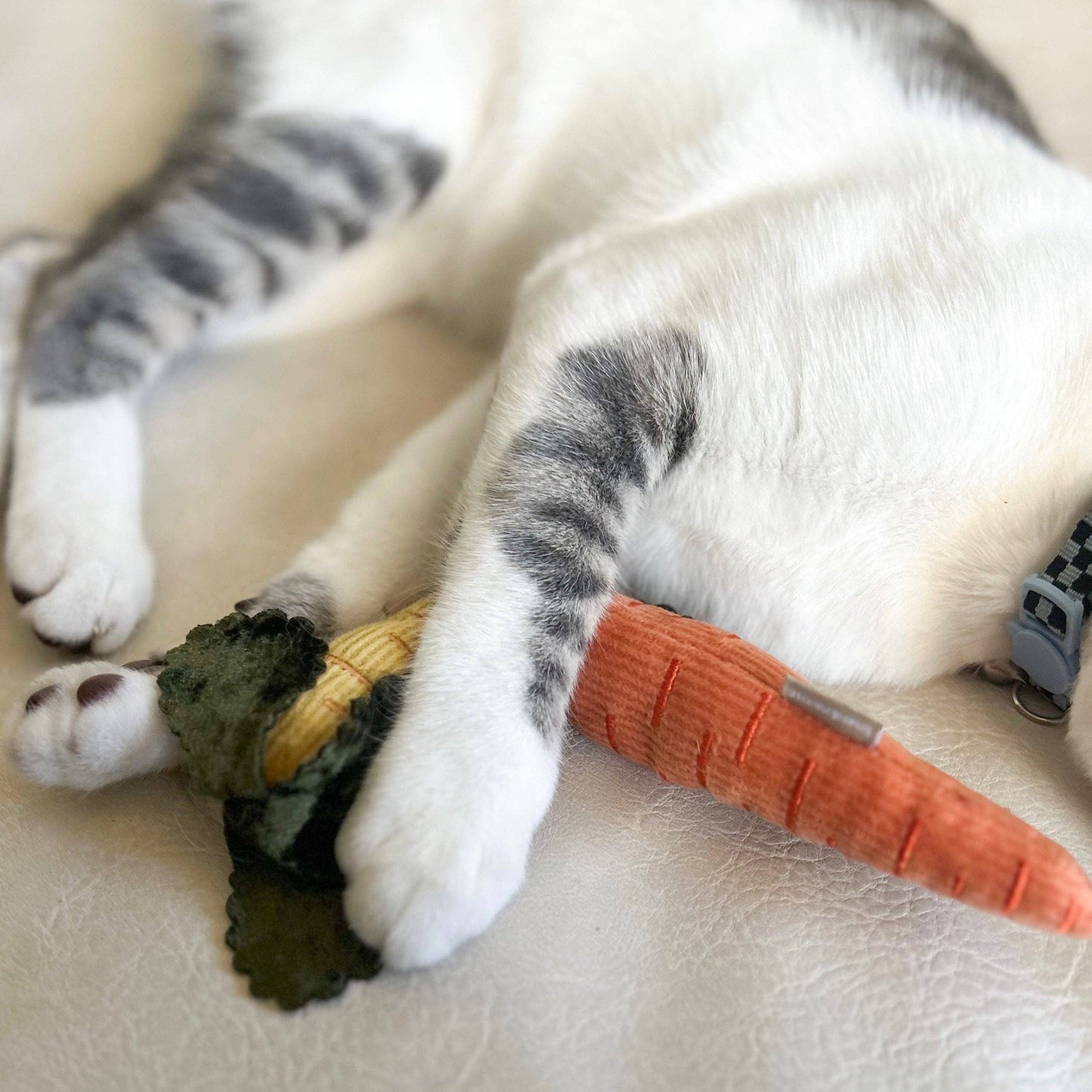 Catnip carrot toy