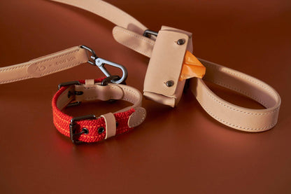 accessoires-cuir-chien