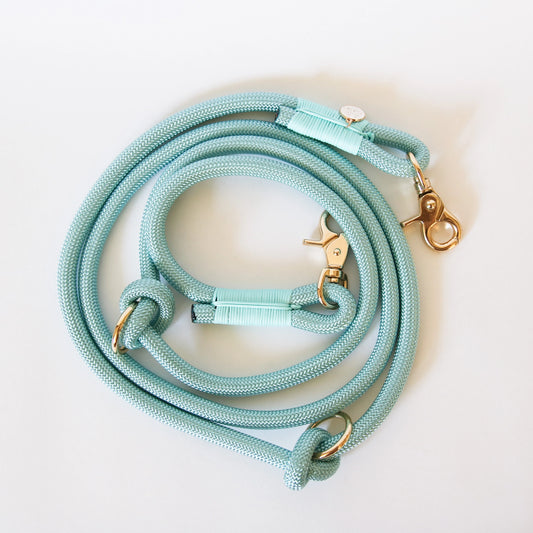 Hands-Free Nylon Leash - Aqua 