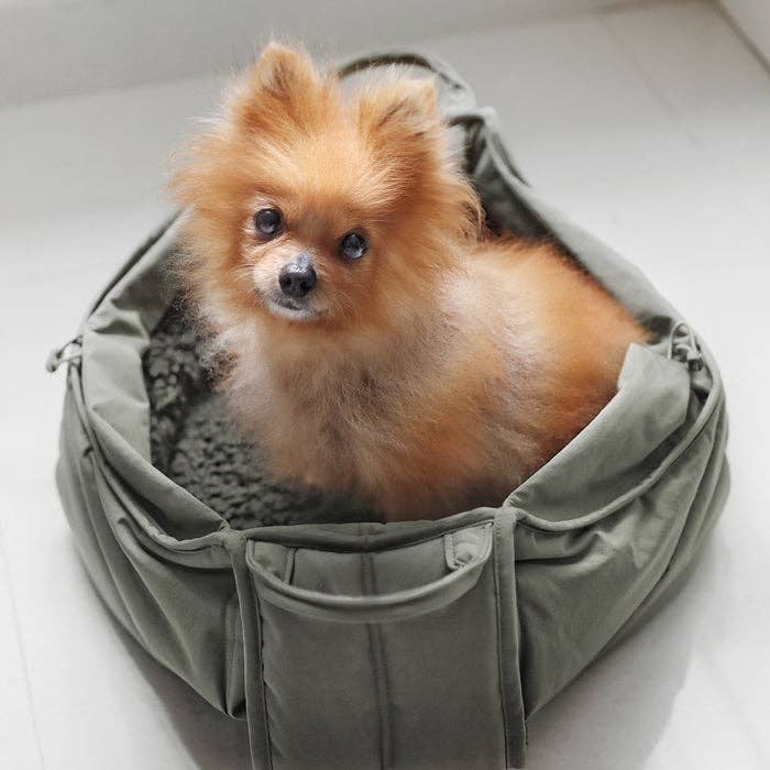 travel-bag-chien-voyage-bordeaux