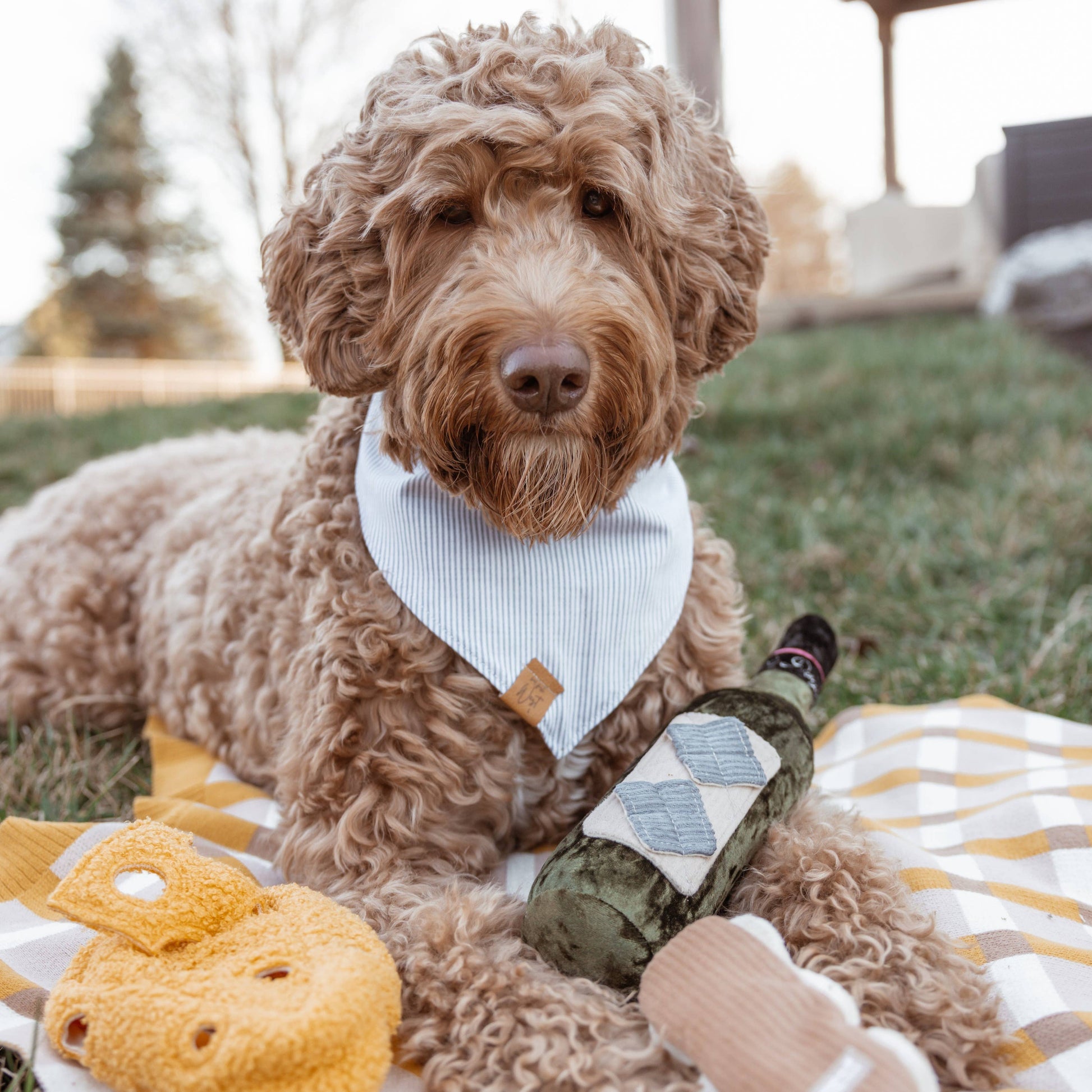 jouet-chien-bouteille-vin