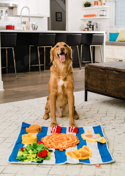 tapis-fouille-divertissement-chien-bordeaux