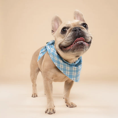 blue gingham bandana
