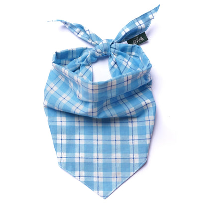 blue gingham bandana