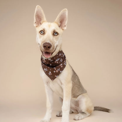 Bandana Hazel