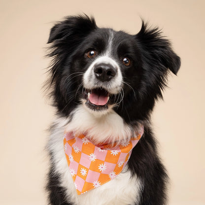 Orange and pink checkered bandana