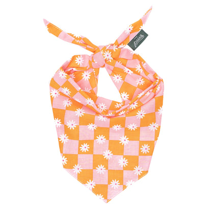 Orange and pink checkered bandana