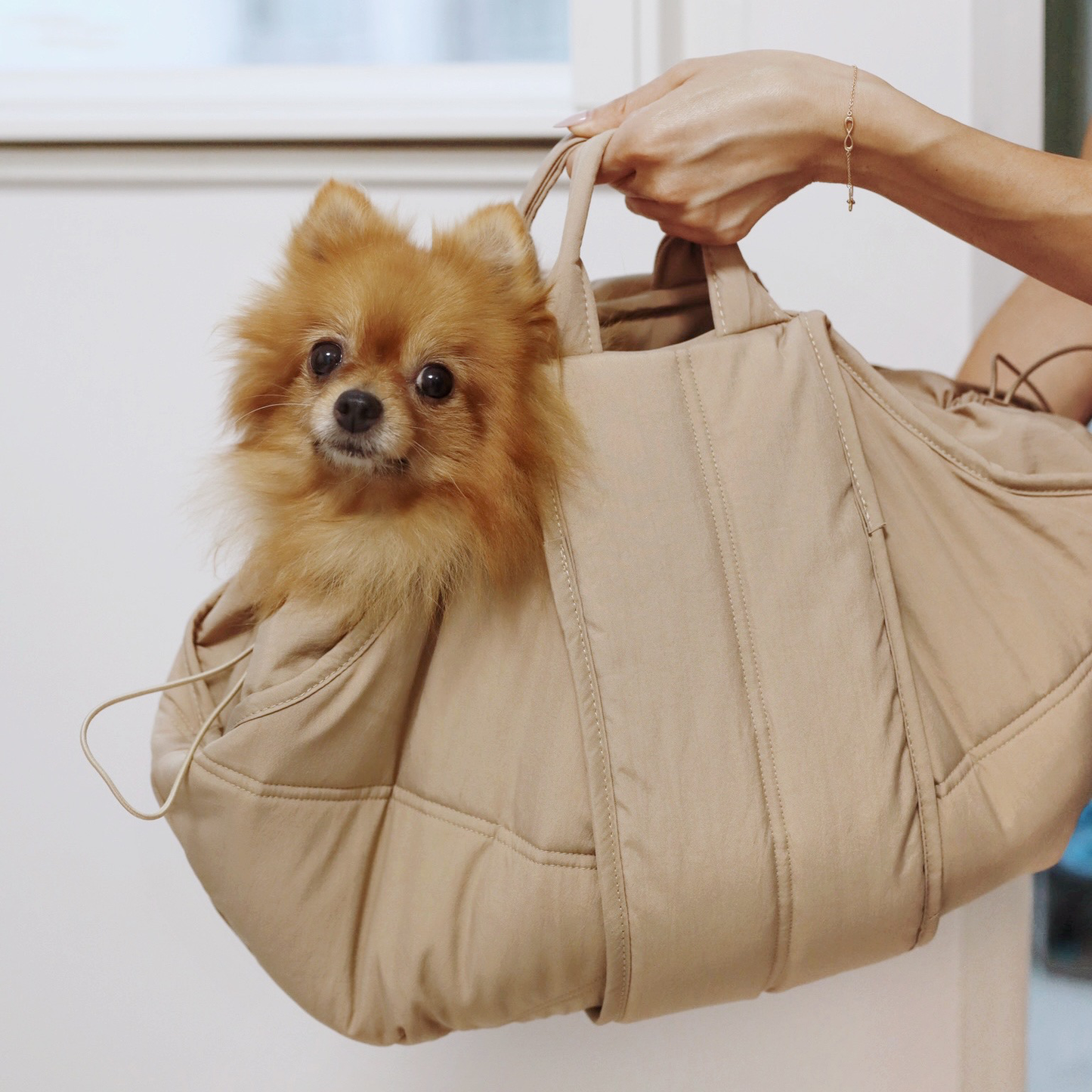 Carrier bag for small dogs