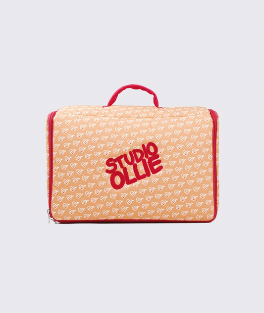 Suitcase Search Toy