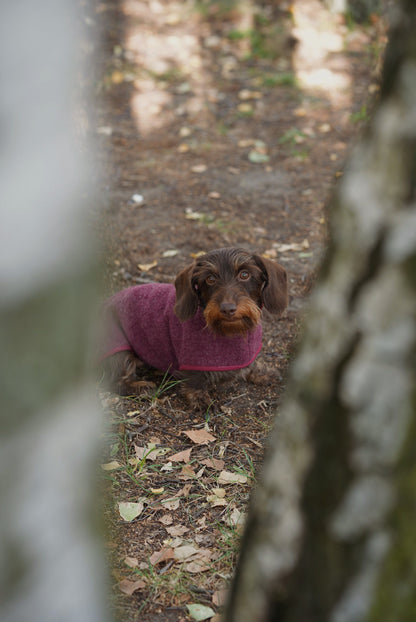 Manteau en laine Bordeaux pour chien