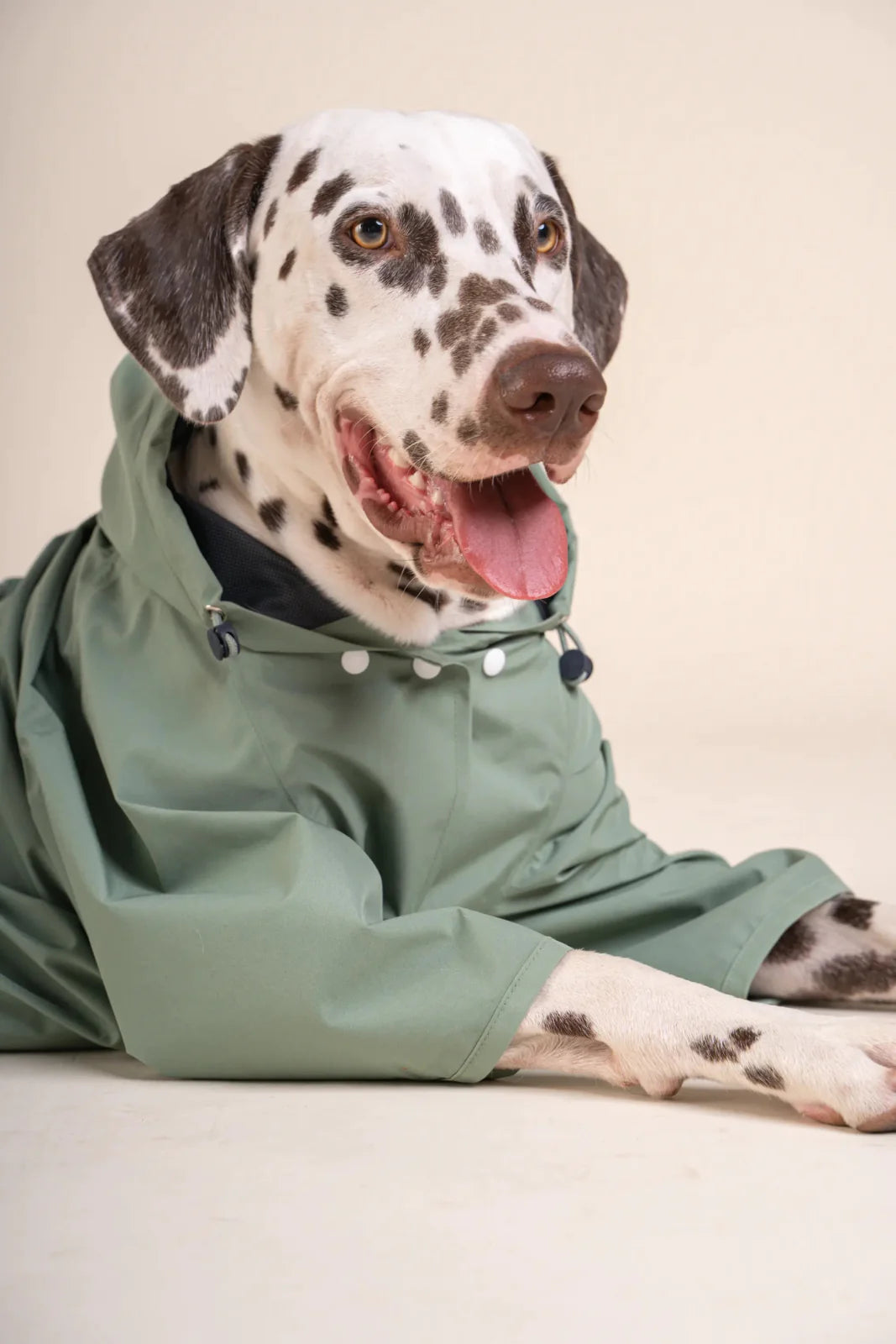 imperméable-pour-chien-bordeaux-nugget