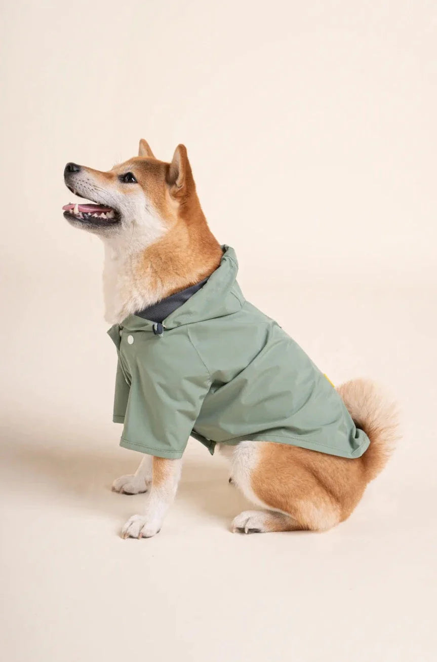 imperméable-pour-chien-bordeaux-nugget