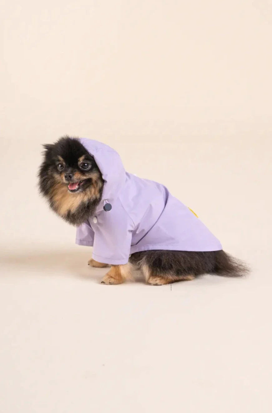 impermeable-pour-chien-bordeaux-nugget