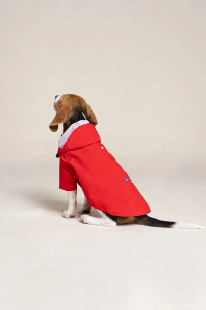 Red Raincoat