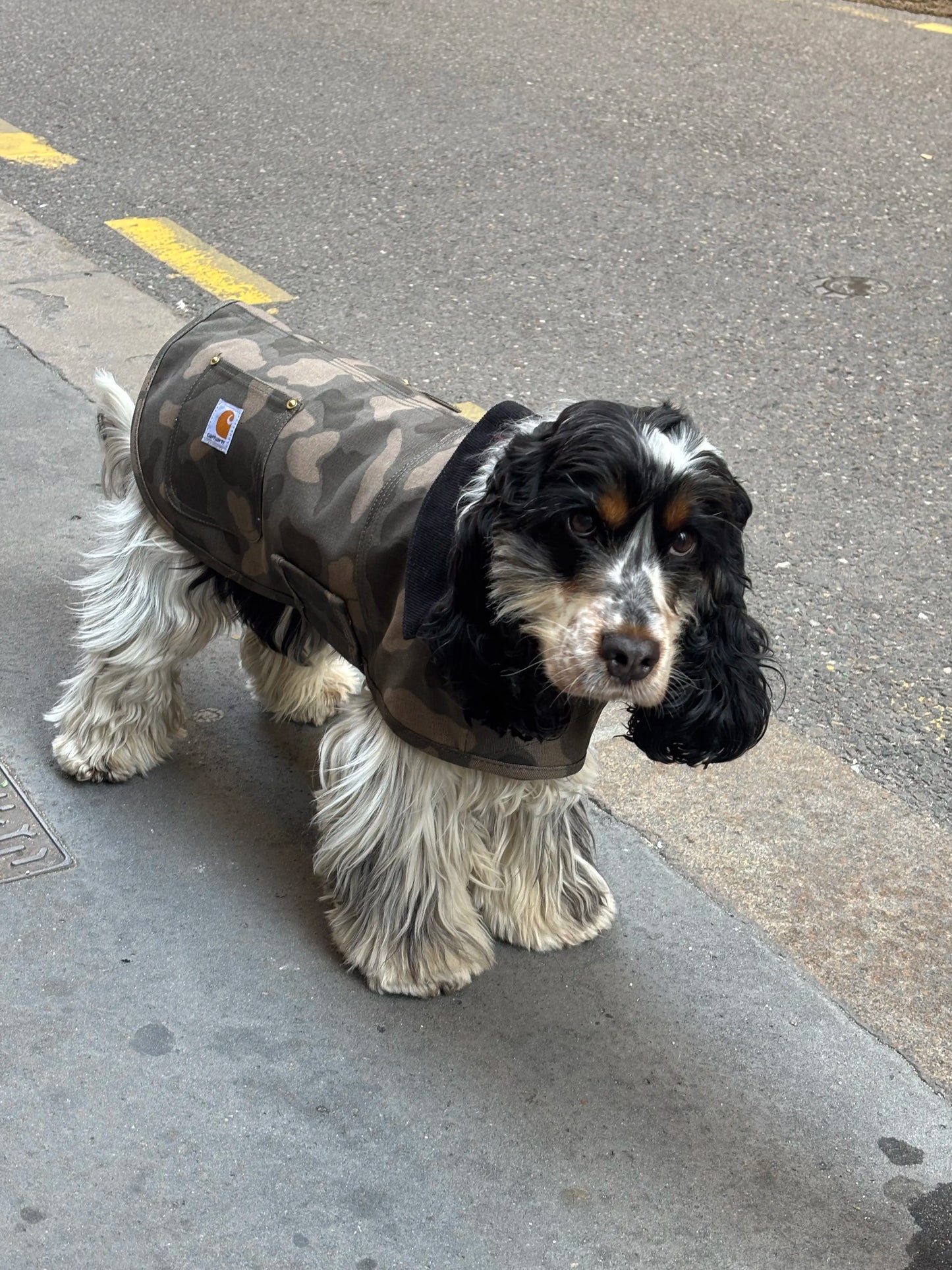 Manteau camouflage - Firm Duck Insulated Dog Chore Coat