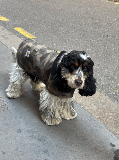 Manteau camouflage - Firm Duck Insulated Dog Chore Coat