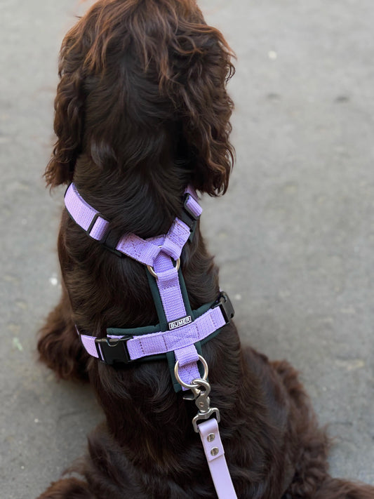 Harnais Vert et Lilas