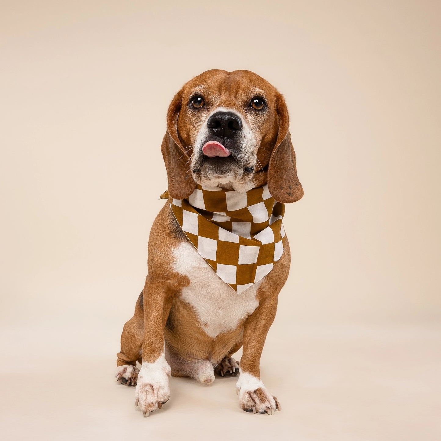 Bandana damiers Cacao