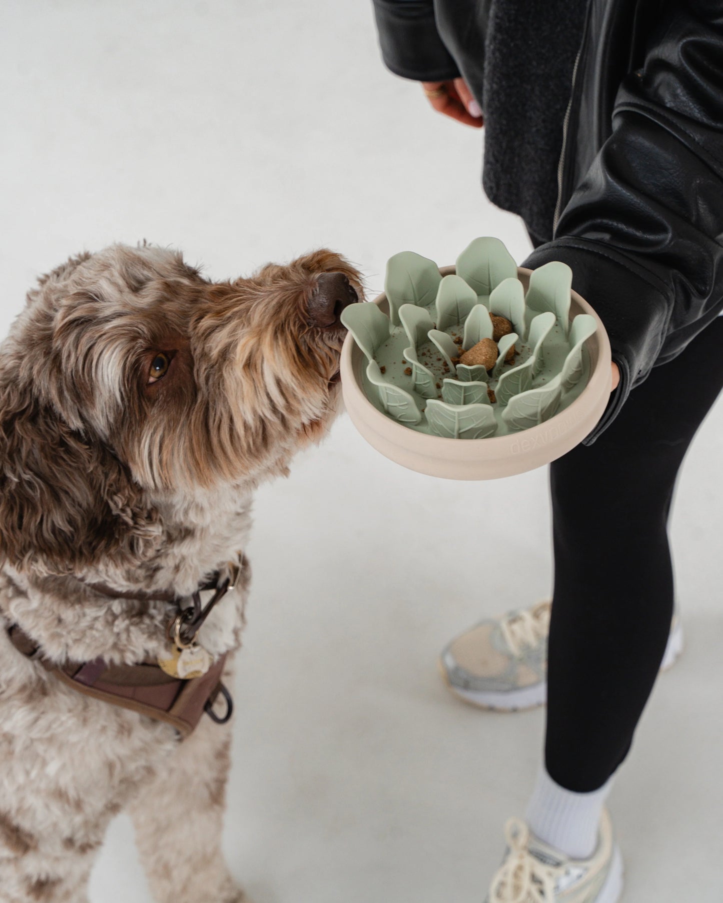 Gamelle anti-glouton