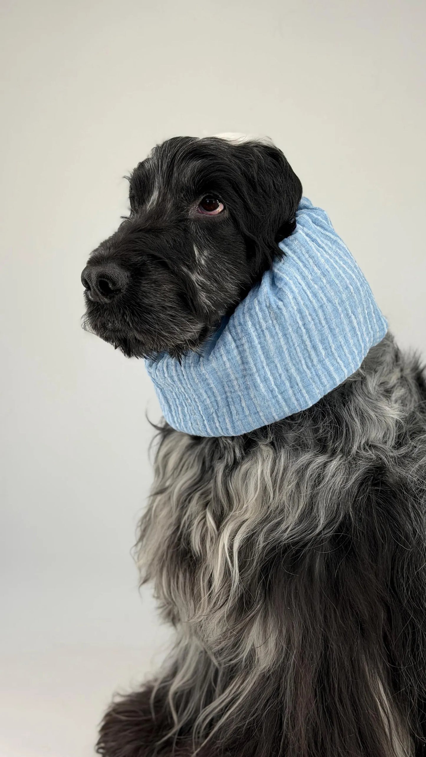 Snood bleu à rayures en coton