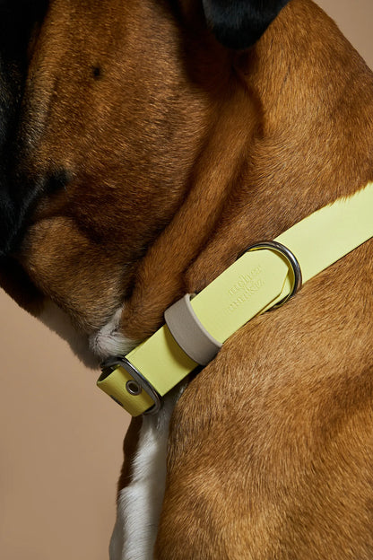 Collier en biothane - Jaune pastel