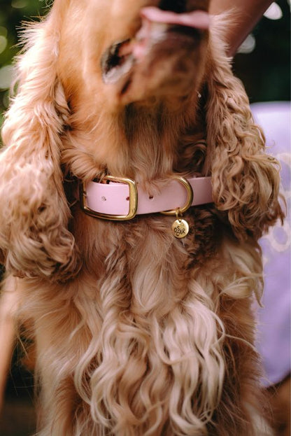 Pink Waterproof Biothane Collar