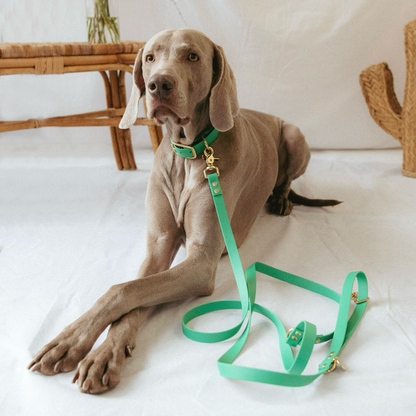 Tropical Green Waterproof Biothane Collar