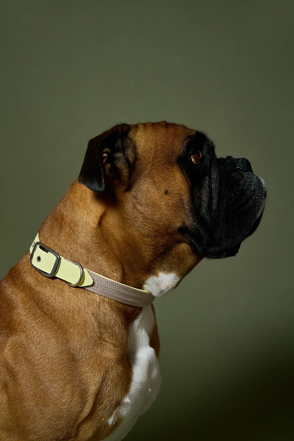 Collier Oslo - Jaune pastel