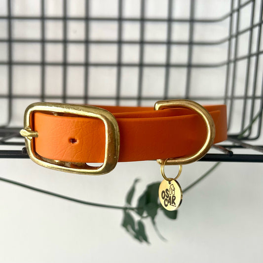 Orange waterproof biothane collar