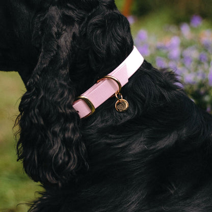 Pink Waterproof Biothane Collar