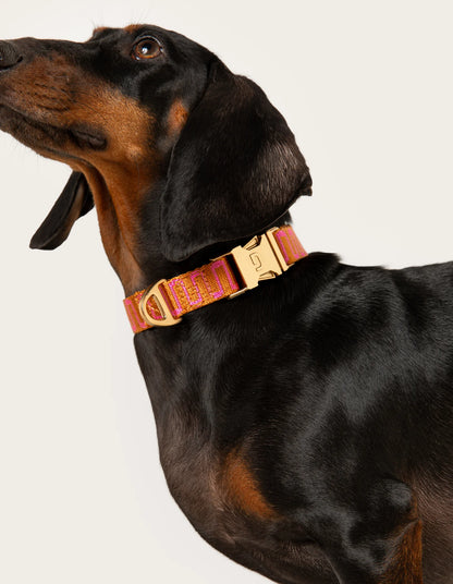 collier-dogguo-orange