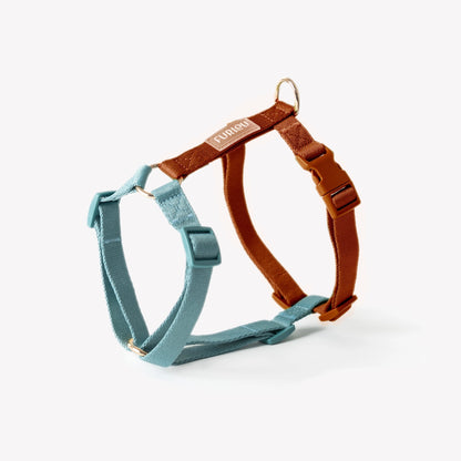 Harnais Blue and Clay