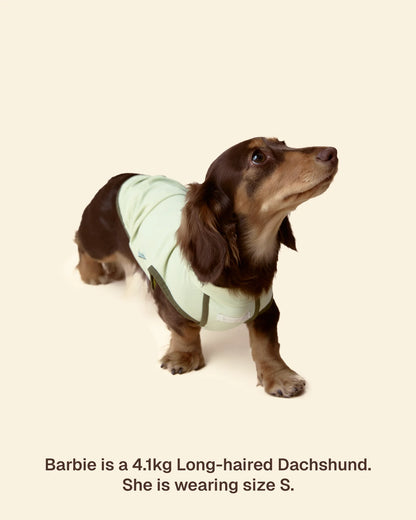 T-shirt rafraîchissant anti-UV – Matcha Green